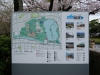 Maizuru-Park1