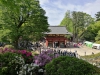 Nezu Shrine1