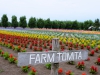 Furano-tomita9