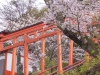 Ukiha-Inari-Shrine2