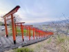 Ukiha-Inari-Shrine5